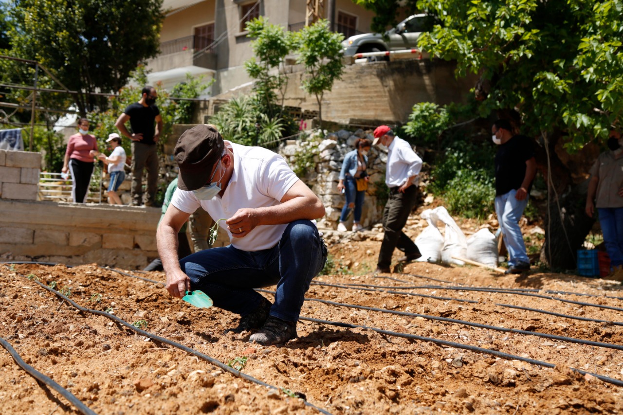 Home farmers grow produce on idle land in Lebanon under the Ghaletna farming initiative. Credit: Ghaletna Project