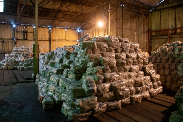Packaged sugar stored in bales in the storage bond Blairmont Sugar Estate (DPI photo)