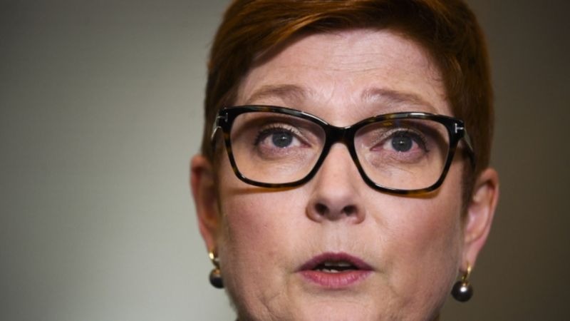 Australia's Foreign Minister Marise Payne said women on 10 different aircraft faced the searches (Reuters)