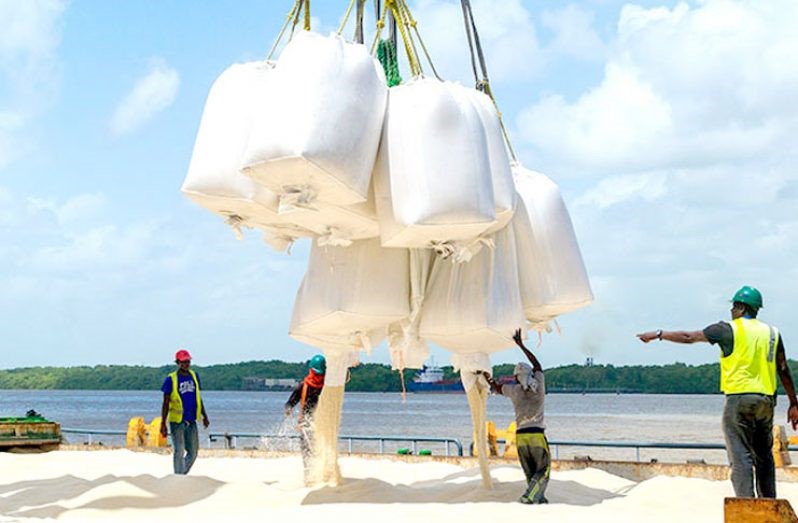 Guyana’s rice for export (DPI)