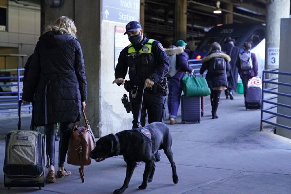 An Amtrak K9 officer and his dog check passengers before they board an Amtrak train before its departure from Union Station as security is heightened ahead of President-elect Joe Biden's inauguration ceremony, Tuesday, Jan. 19, 2021, in Washington. (AP Photo/David Goldman)