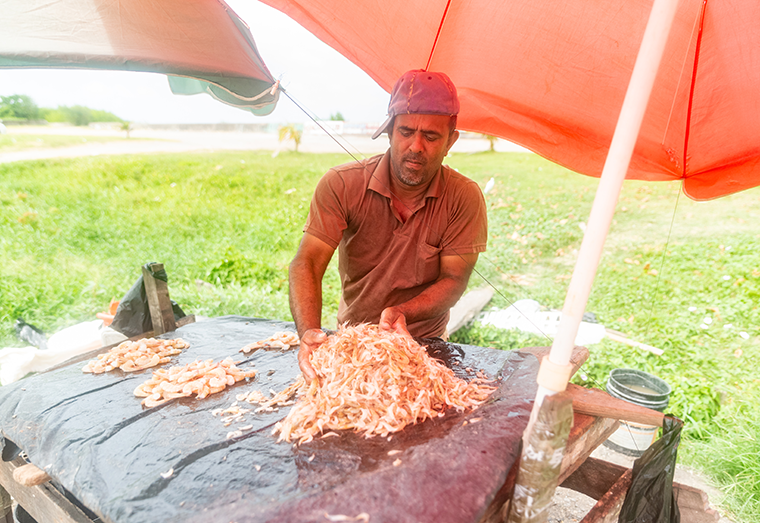 Rajesh, seafood vendor, at Ogle (FAO)