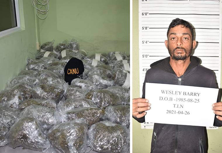 The suspected marijuana which was found in a building occupied by Wesley Barry