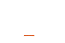 Village Voice News