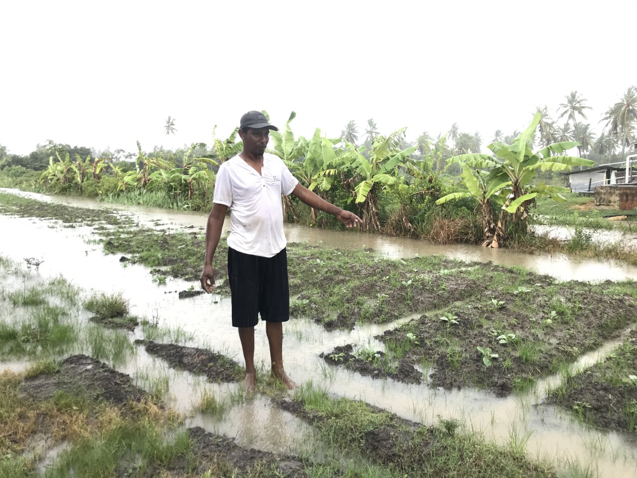 Jagdesh Jaddunauth showing part of his garden that is under water