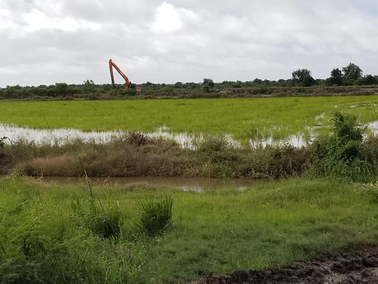 An excavator being deployed to strengthen the floor embankment to prevent water from overflowing into the rice field