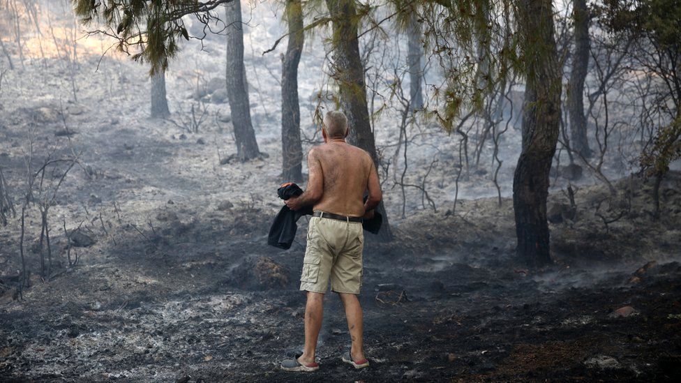 A resident of a town on the northern outskirts of Athens inspects the damage caused by a wildfire (EPA)