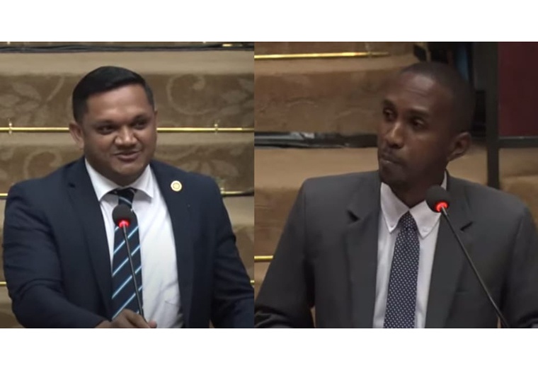 Minister of Natural Resources, Vickram Bharrat and Opposition MP Shurwayne Holder