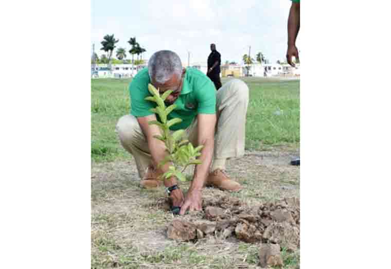 Former President David Granger plants a tree as he urges greater protection of the environment