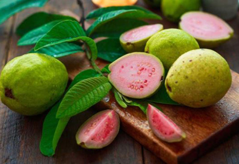 Herbal Section | Guava fruit and leaves