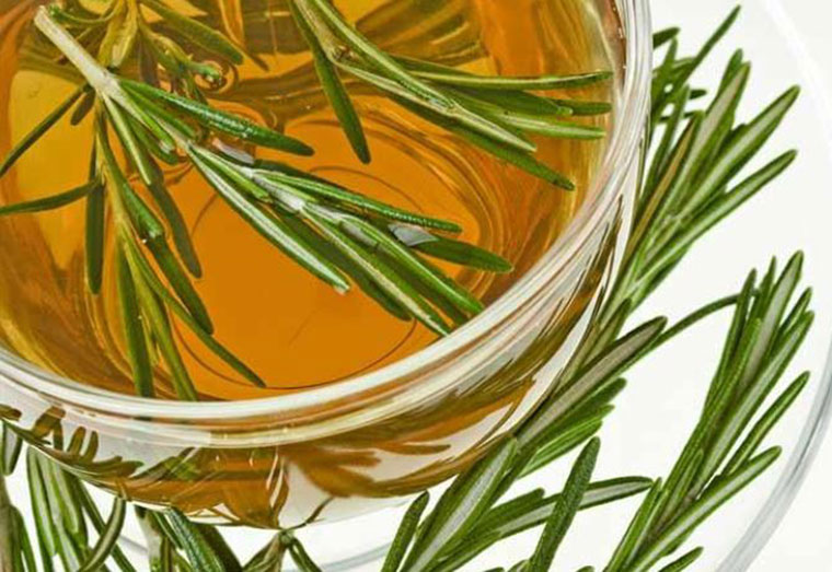 Herbal Section | Rosemary oil supports hair growth