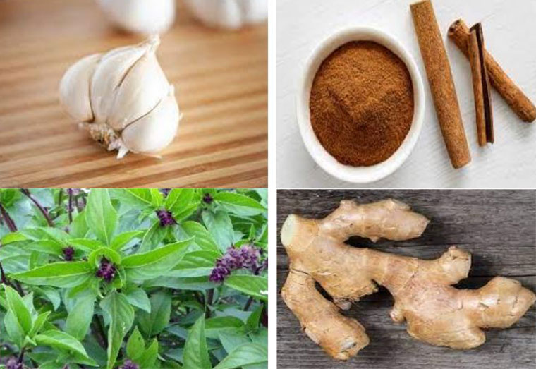 Herbal Section | Herbal treatment that may help lower blood pressure 