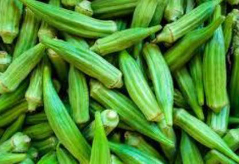 Herbal Section | Health Benefits of Okra 