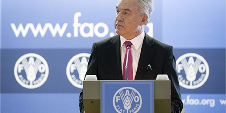 Mario Lubetkin , ADG/Regional Representative for Latin America and the Caribbean (RLC). Photo: Food and Agriculture Organisation (FAO)