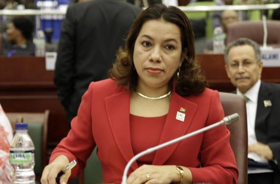 Permanent Representative to the United Nations (UN), H.E. Carolyn Rodrigues Birkette