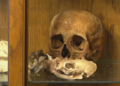 Fowler says the human skull is "her prized possession." It sells for US$2,2000 on her Etsy page.