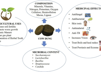 Composition, health benefits, and medicinal effects of dung.