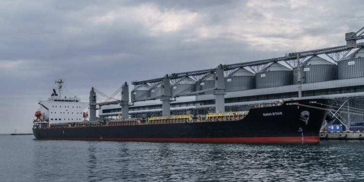 The ship Navi-Star sits full of grain since Russia's invasion of Ukraine began five months ago as it waits to sail from the Odesa Sea Port, in Odesa, Ukraine