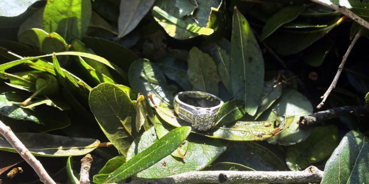 The loss wedding ring lying a brush pile after Hurricane Ian passed through the area in Fort Myers, U.S