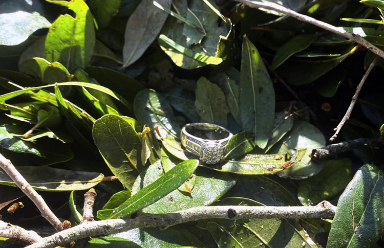 The loss wedding ring lying a brush pile after Hurricane Ian passed through the area in Fort Myers, U.S