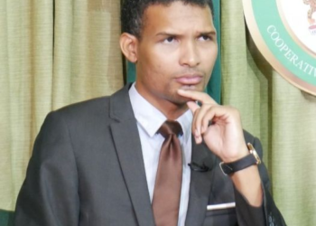 Elson Low, Economic and Youth Policy Advisor to the Leader of the Opposition