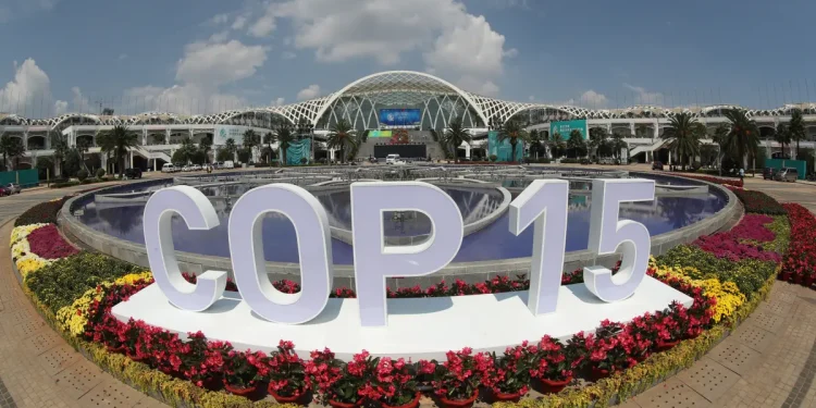 The Guardian Photo