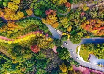 Tourists drive on a magnificent mountain road in Dayu county, Ganzhou, east China's Jiangxi province, December 2022. (Photo by Ye Gongfu/People's Daily Online)