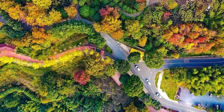 Tourists drive on a magnificent mountain road in Dayu county, Ganzhou, east China's Jiangxi province, December 2022. (Photo by Ye Gongfu/People's Daily Online)