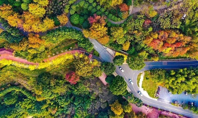 Tourists drive on a magnificent mountain road in Dayu county, Ganzhou, east China's Jiangxi province, December 2022. (Photo by Ye Gongfu/People's Daily Online)