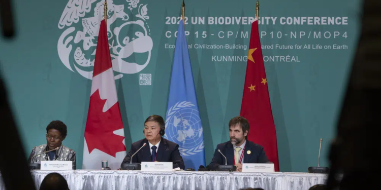 Elizabeth Maruma Mrema, Executive Secretary of the Secretariat of the Conference of Biological Diversity, left to right, Huang Runqiu President of the COP 15 and Minister of Ecology and Environment of China listens as Steven Guilbeault, Minister of Environment and Climate Change Canada, speaks during a press conference at the COP 15 summit on biodiversity, in Montreal, Saturday, Dec. 17, 2022. (Peter McCabe /The Canadian Press via AP)