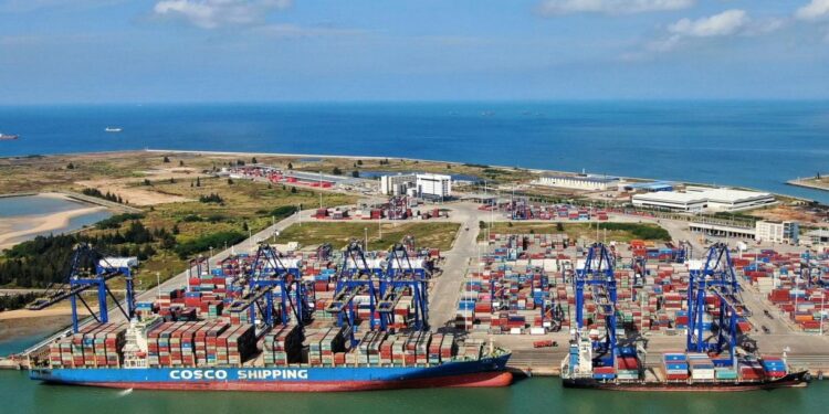 Photo taken in November 2022 shows a wharf of the Yangpu International Container in south China’s Hainan Province. (People’s Daily Online/Fu Wuping)
