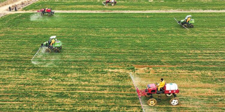 China Daily Photo