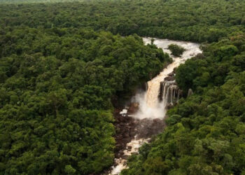 Amaila Falls, Region 8