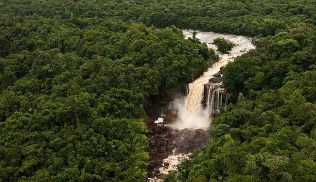 Amaila Falls, Region 8