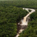 Amaila Falls, Region 8