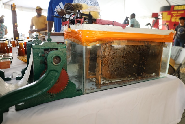 A model hive on display at the inaugrual Agri Investment Forum and Expo last May