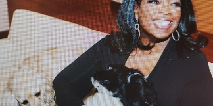 Oprah Winfrey and her dogs (instagram photo)