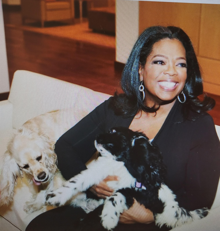 Oprah Winfrey and her dogs (instagram photo)
