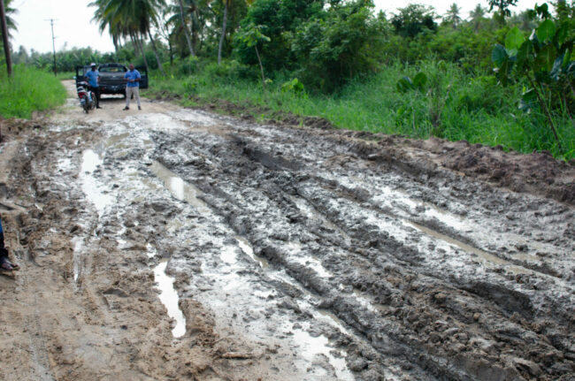 The deteriorated road at Ridge, Wakenaam