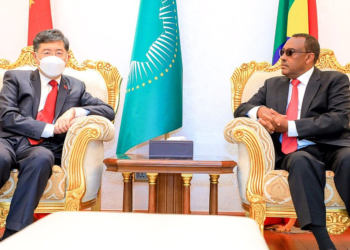 Chinese Foreign Minister Qin Gang (L) meets with Ethiopian Deputy Prime Minister and Foreign Minister Demeke Mekonnen in Addis Ababa, Ethiopia, January 10, 2023. /CFP