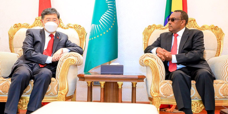 Chinese Foreign Minister Qin Gang (L) meets with Ethiopian Deputy Prime Minister and Foreign Minister Demeke Mekonnen in Addis Ababa, Ethiopia, January 10, 2023. /CFP