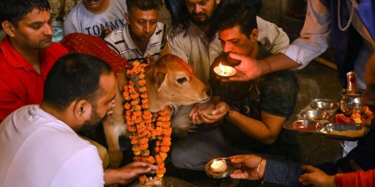 Hindus worship a calf during the Gopashtami festival dedicated to Hindu deity Krishna and cows in Amritsar on November 1, 2022.
Narinder Nanu/AFP/Getty Images