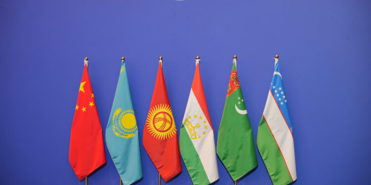China + Central Asia (C+C5) industry and investment cooperation forum Photo: VCG