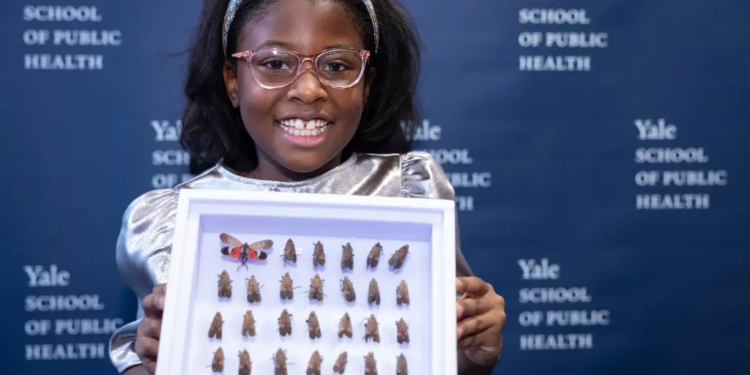 A collection of lanternflies caught by Bobbi Wilson in her New Jersey neighbourhood will sit in the archives of the Yale Peabody Museum.Credit...Andrew Hurley/Yale