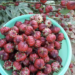 jamaicanfoodsandrecipes photo