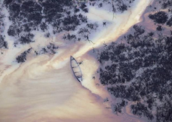 After decades of environmental destruction in the Niger Delta, the fossil fuel giant faces the prospect of a trial. Can legal action make amends, retrospectively, for the human and planetary consequences of pollution?