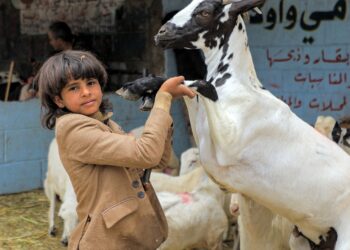 MOHAMMAD HUWAIS/AFP VIA GETTY IMAGES
