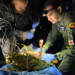 Members of the Colombian army check one of the four Indigenous children Friday.Colombian Air Force / AFP - Getty Images
