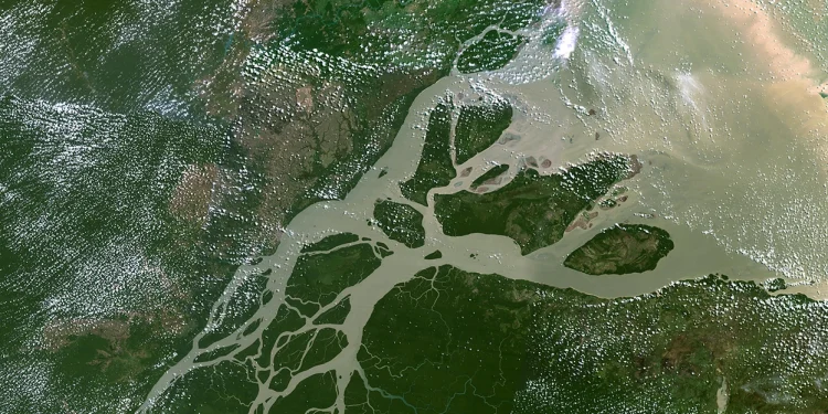 Water flows with great force from the Amazon River into the sea at its mouth. Credit: Universal Images Group North America LLC/Alamy
