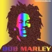 mancipate yourself from mental slavery
None but ourselves can free our minds.
Bob Marley